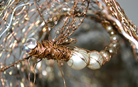 Wire Sculpture
